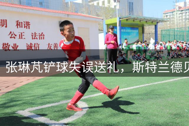 张琳芃铲球失误送礼，斯特兰德贝里破门，海牛1-0海港